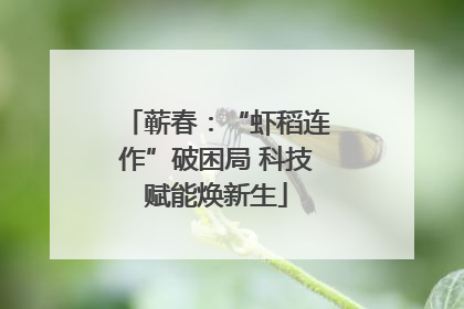 蕲春：“虾稻连作”破困局 科技赋能焕新生